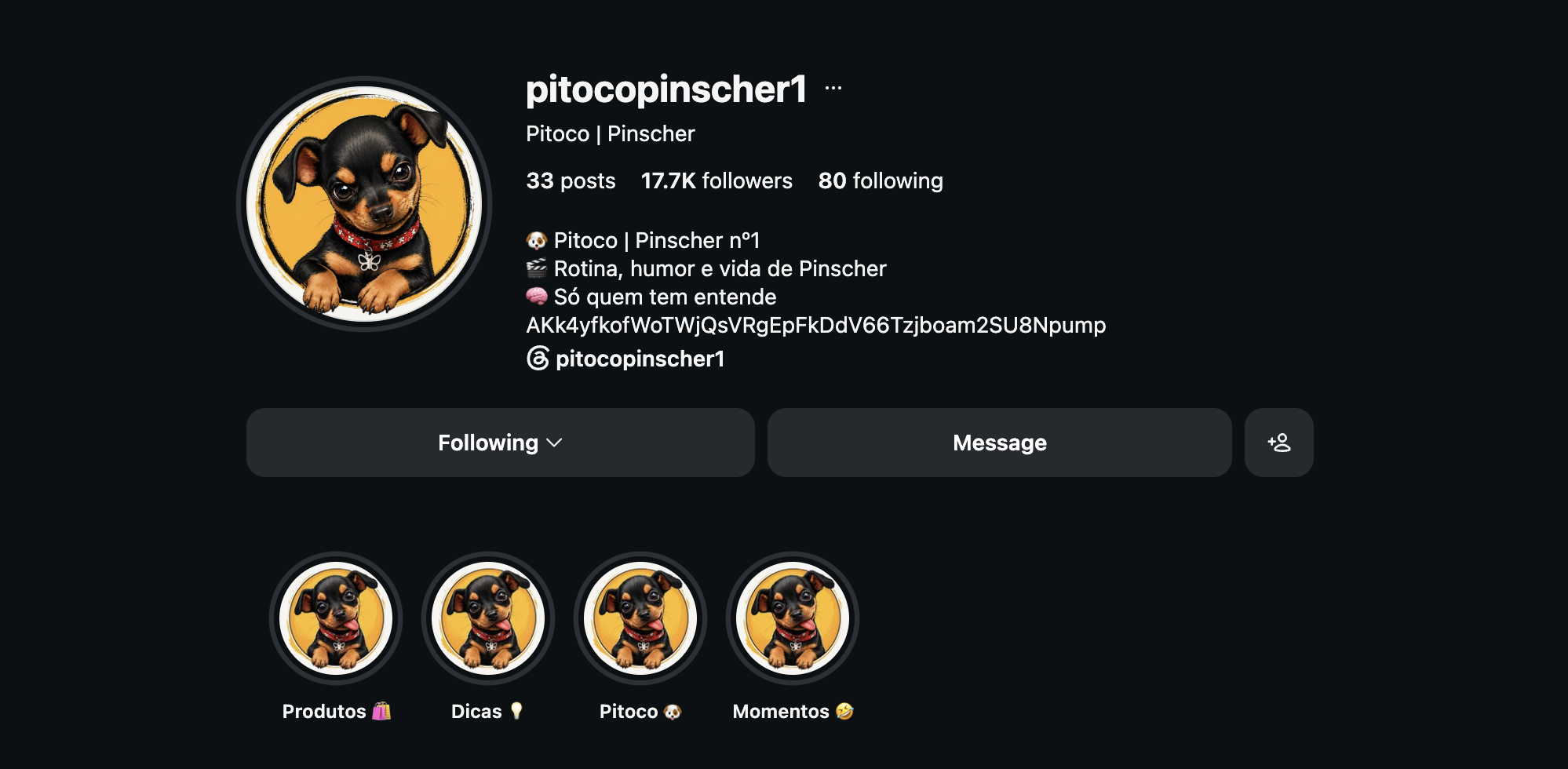 Official Instagram profile of @pitocopinscher1 — Pitoco the viral Brazilian pinscher, showing 33 posts, 17.7K followers and story highlights